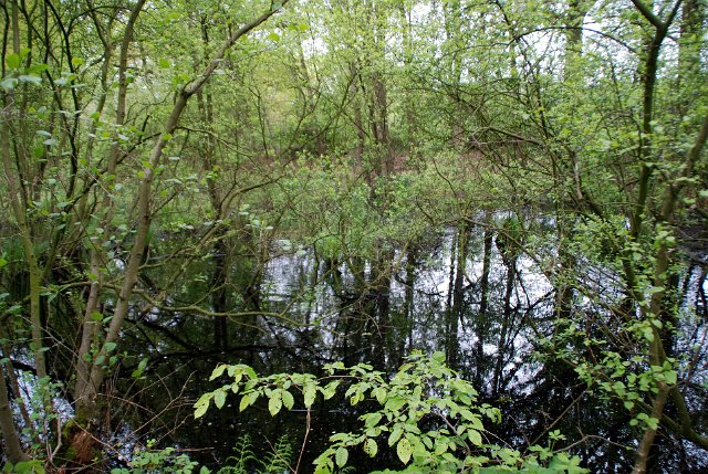 landgoed zevenberg_20